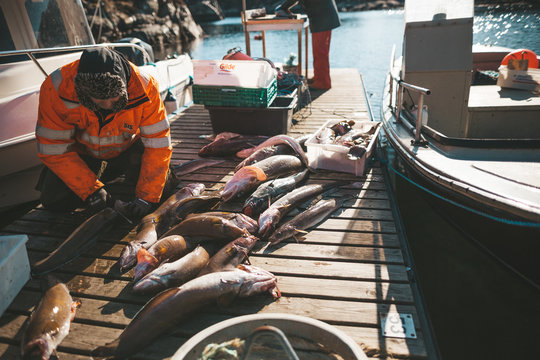 fishing Norway