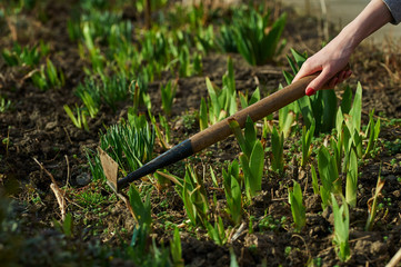 work in the garden in the spring and summer