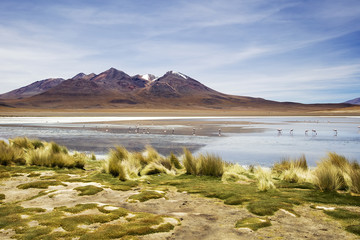 Laguna Colorada in Bolivia
