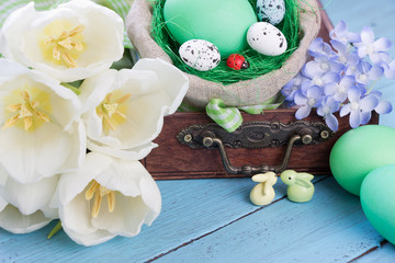 Easter background.Easter  eggs ,white tulips and spring flowers on blue wooden board