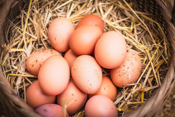 The lifestyle of the farm in the countryside