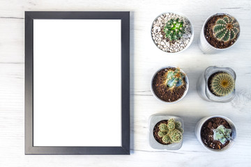 Top view of a white desk and cactuses set in rows and a black empty frame