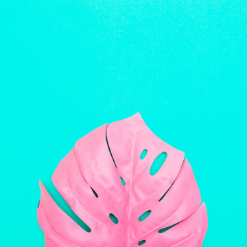 pink tropical and palm leaf of monstera in vibrant bold color on turquoise background . Concept art. Minimal surrealism