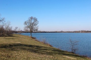 A view of the lake and the park landscape on a sunny day.