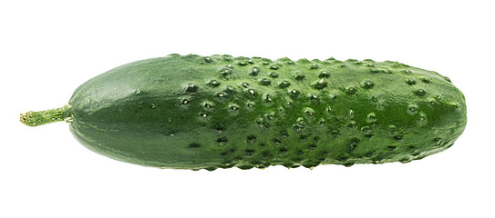 Fresh cucumber isolated on white background with clipping path