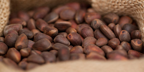 cedar nuts in a bag in the shop window or in the warehouse