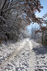 Snow settles on trees, bushes. mountains and roads, creating a wonderful, winter wonderland