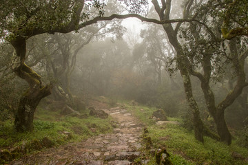 Bu&ccedil;aco, Portugal