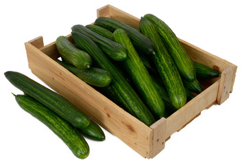cucumber in wooden box on white background