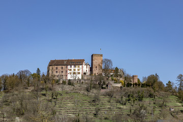 Fototapeta na wymiar medieval Gamburg under blue sky