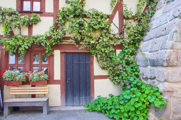 The wall of an old half-timbered house with a ivy-covered door and a vine with grapes.