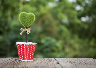 flower vase on a wooden table. nature background.
