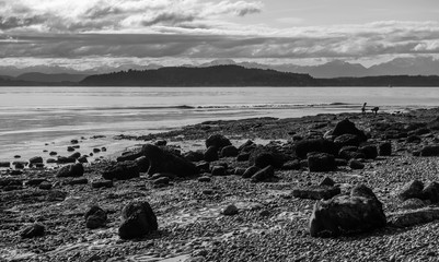 Low Tide Landscape