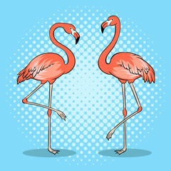 Pink flamingo bird pop art vector illustration