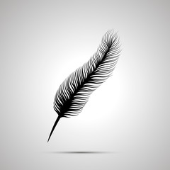Long feather silhouette, simple black icon
