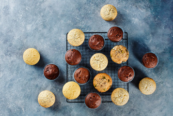 Different homemade muffins on a blue background,