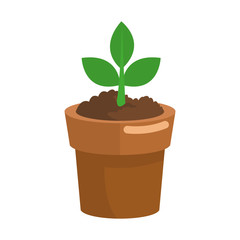 Plant growing on pot vector illustration graphic design