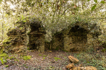 Ruines d'une ancienne chapelle dans les bois du Veillon à Talmont Saint-Hilaire (Vendée, France)
