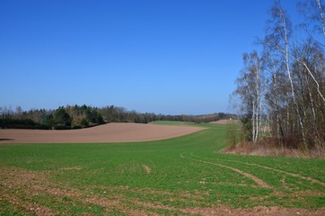 Feldweg - Ackerbau und Landwirtschaft im Frühjahr - Naturlandschaft im April