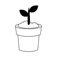 Plant growing on pot on black and white colors vector illustration