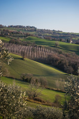 Italian Countryside Landscape