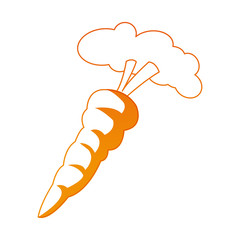 Fresh carrot vegetable on orange lines vector illustration