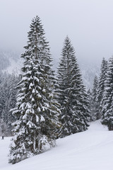 winter wonderland in Austria 