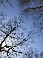 sky, nature