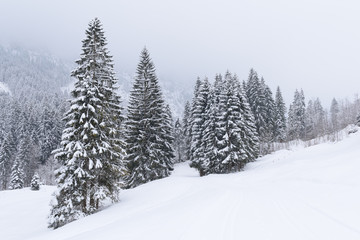 alps in winter with heavy snow 
