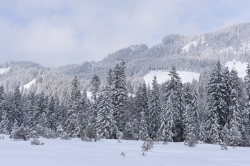 alps in winter with heavy snow 