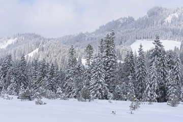 Fototapeta na wymiar alps in winter with heavy snow 