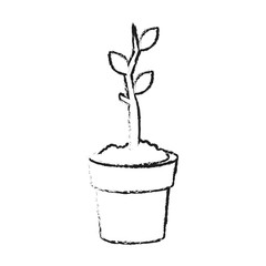 Plant growing on pot on black and white sketch colors vector illustration