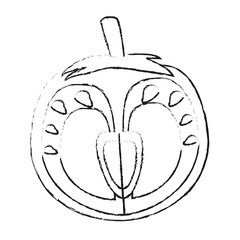 Tomato fresh vegetable on black and white sketch colors vector illustration