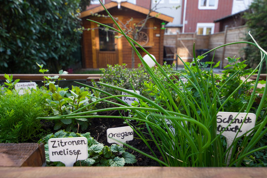 Hochbeet im Garten an der Terrasse