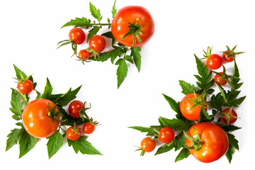 Set of a tomato of different varieties with leaves on a white background with copy space of a flat lay top view of a layout, a concept of a healthy diet, veganism