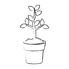 Plant growing on pot on black and white sketch colors vector illustration
