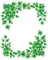 Illustration rectangular frame, a decoration of parsley leaves. Vertical format. Liana on the edges of the pictures. In the center of a blank white background.