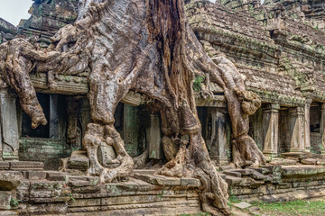 Fototapeta na wymiar Cambodia Angkor Complex 360