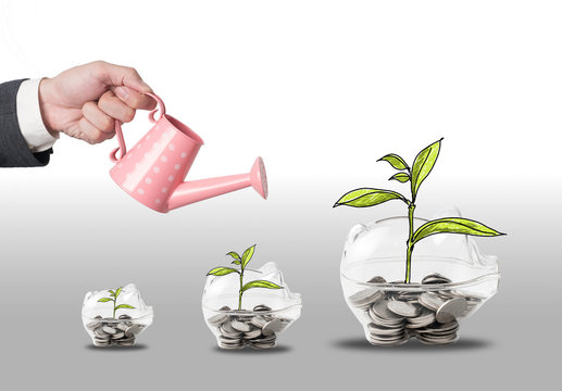Top view Investment is like planting trees. Take care it will provide a good growth on color background.money tree drawn concept for business investment, savings and making money.