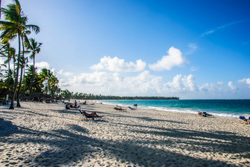 Palm tree over the sand on tropical caribbean beach