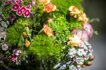 Obraz premium Colorful flower bouquet