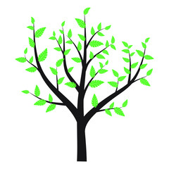 Obraz premium Green tree with branches and leafs, plant silhouette icon. Floral vector Illustration.