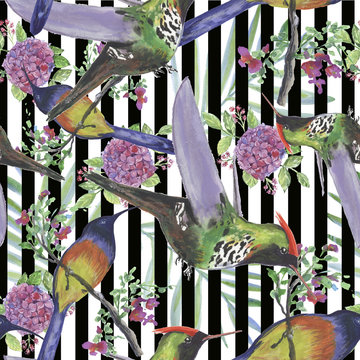 Backgroundless. Watercolor flowers, patterns, birds. Basis for design. Tropics, exotics