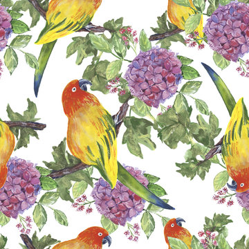 Backgroundless. Watercolor flowers, patterns, birds. Basis for design. Tropics, exotics