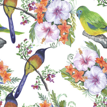 Backgroundless. Watercolor flowers, patterns, birds. Basis for design. Tropics, exotics
