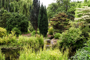 Plants and trees by the pond in Regent Park in London, UK