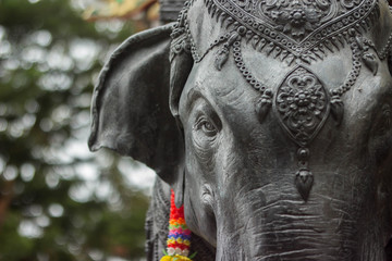 elephant in temple © Ernest