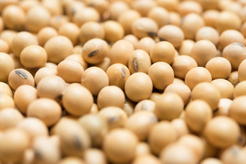 Soy beans background