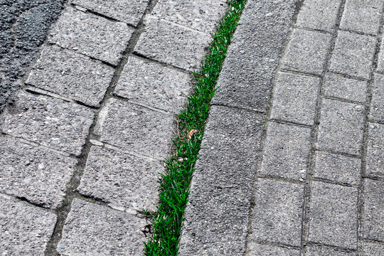 Grasbewachsene Bordsteinkante