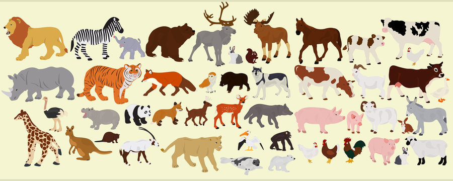 A Collection Of Different Farm Animals, African And Australian On A Light Background